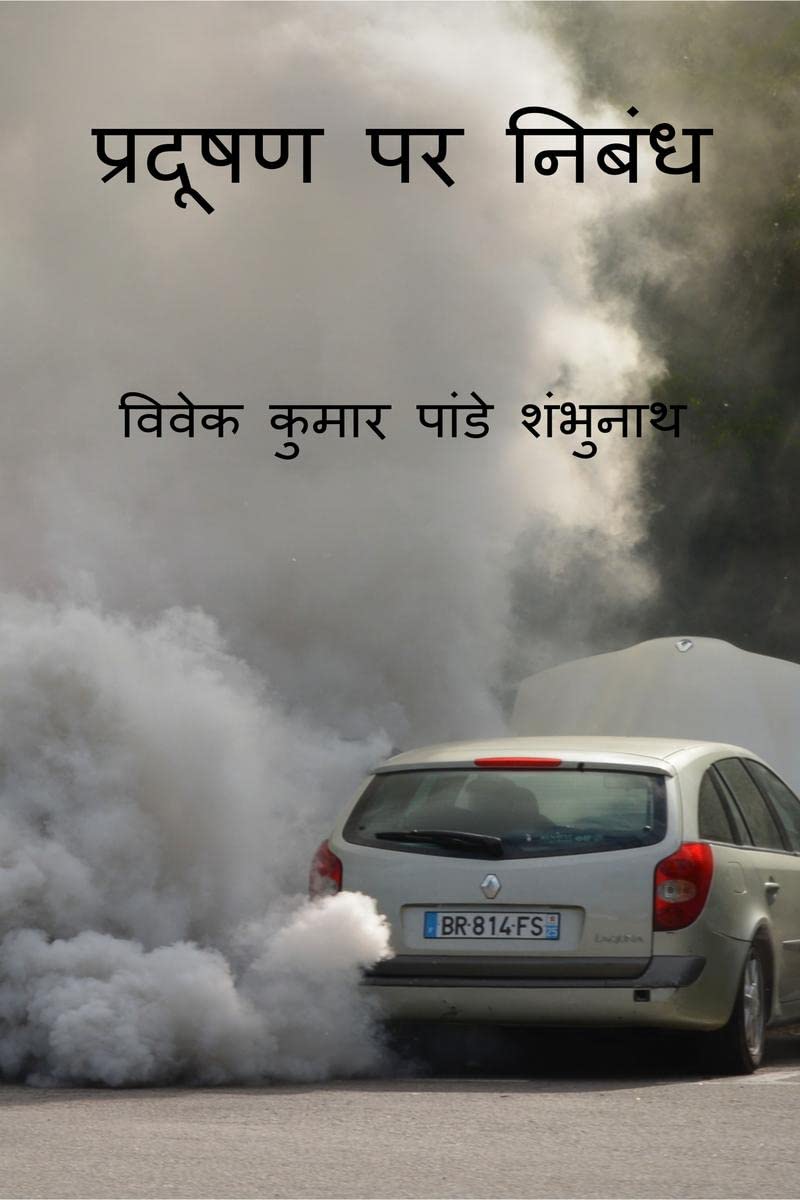 Essay On Pollution /   