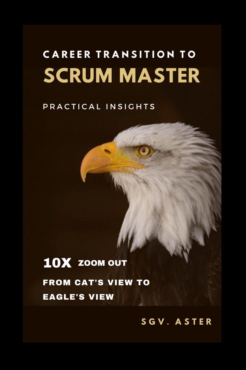 Career Transition to Scrum Master  Practical Insights
