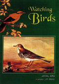 Watching Birds