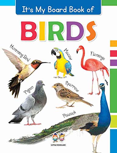 Its My Big Board Book of BIRDS