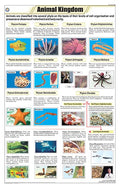 Stz01 | Teachingnest Animal Kingdom Structure Chart (58X90Cm) | English | Zoology Charts [Wall Chart]