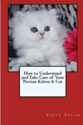 How To Understand And Take Care Of Your Persian Kitten & Cat