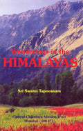 Wanderings in the Himalayas