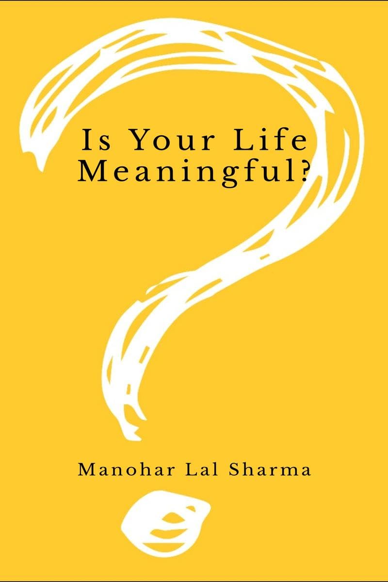 Is Your Life Meaningful? : For a better lifestyle