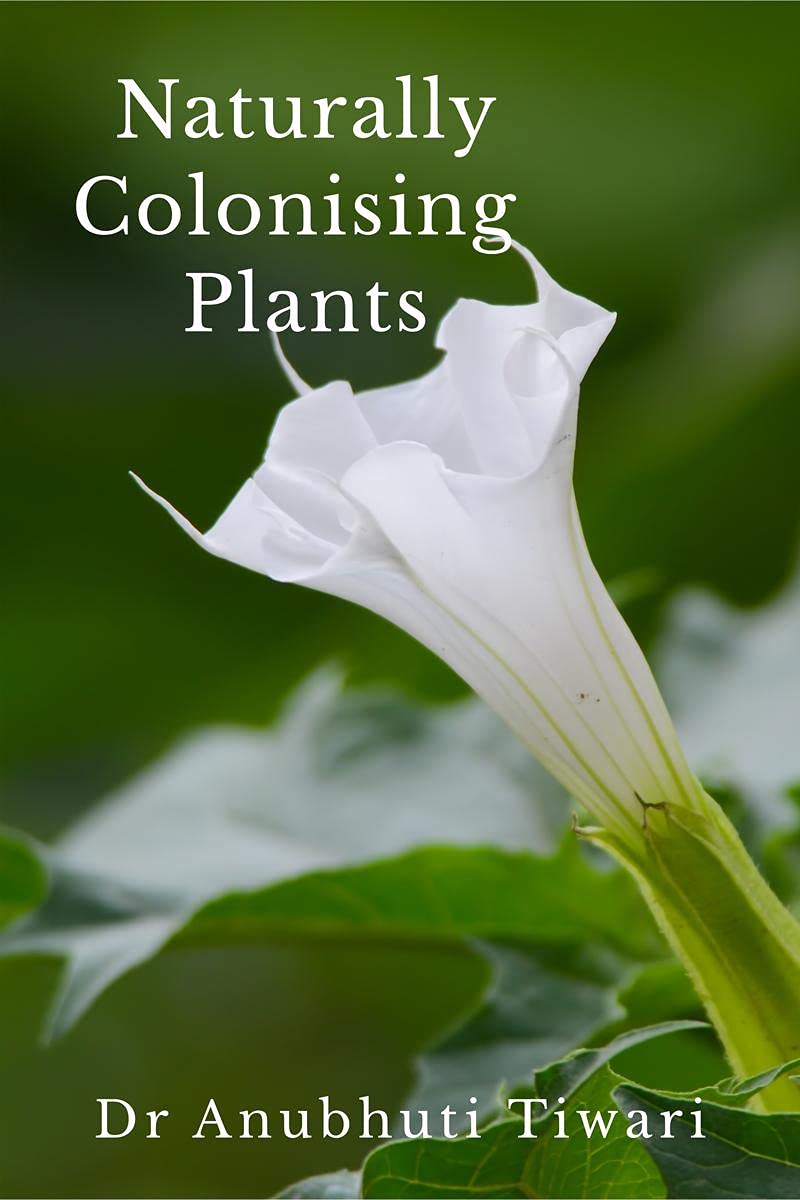 Naturally Colonising Plants: Studies Of The Ecophysiology Of Certain Colonising Plant Species Growing Within The Suburban Areas 