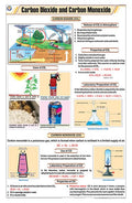 Stc11 | Teachingnest | Carbon Dioxide And Carbon Monoxide Chart (58X90 Cm) | English | Chemistry Charts | With Rollers [Wall Cha