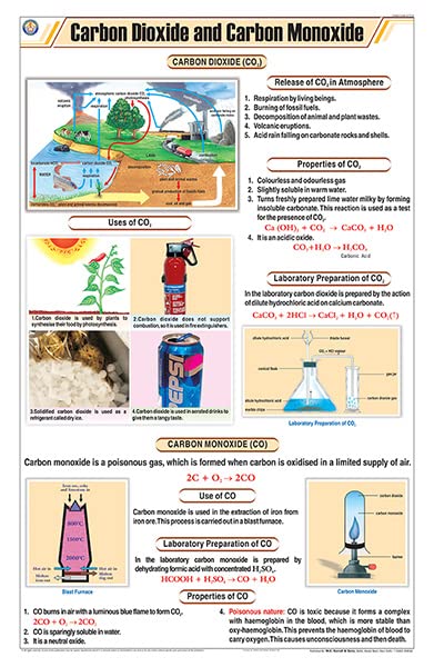 Stc11 | Teachingnest | Carbon Dioxide And Carbon Monoxide Chart (58X90 Cm) | English | Chemistry Charts | With Rollers [Wall Cha