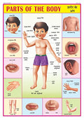 Body Parts Chart For Kids | 70x100 cm (Extra Large Size to attract Kids) | NonTearable and Waterproof | Perfect For Homeschooli