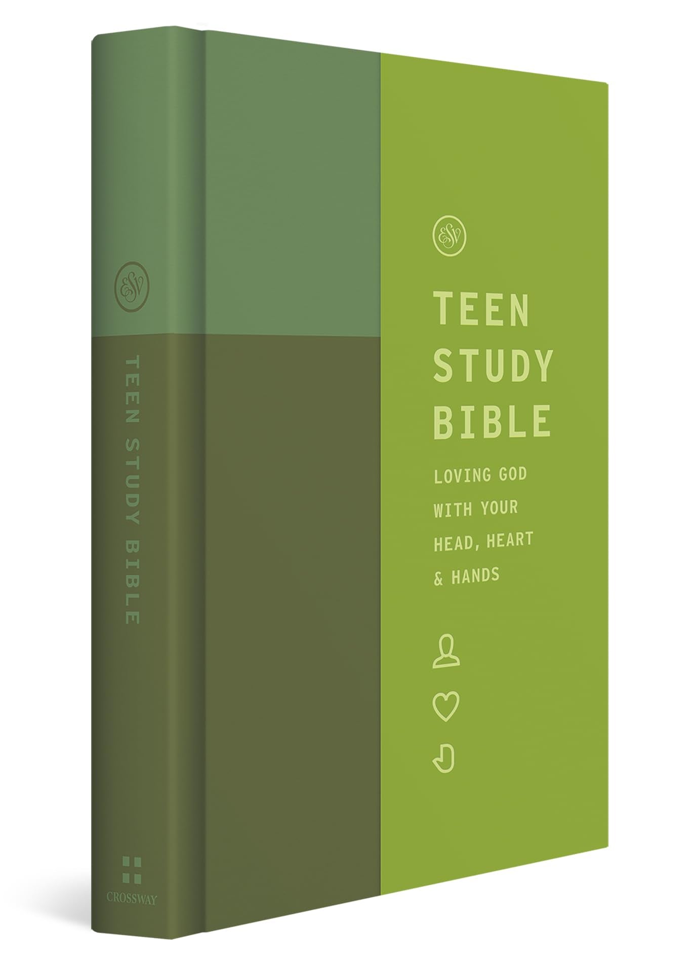 ESV Teen Study Bible (Hardcover, Wildwood)