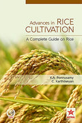 Advances In Rice Cultivation: A Complete Guide On Rice