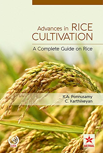 Advances In Rice Cultivation: A Complete Guide On Rice