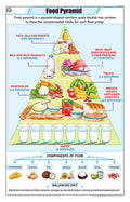Stg32 | Teachingnest Food Pyramid Chart (58X90Cm) | English | General Science Charts [Wall Chart] Teachingnest