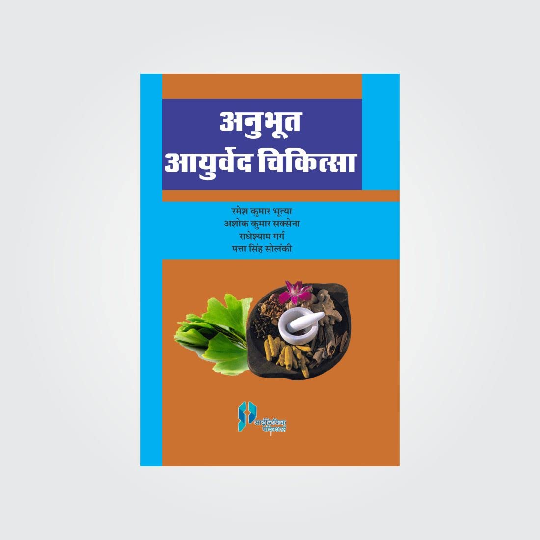 Anubhut Ayurveda Chikitsa For Research Associate In Hindi [Paperback] R.K. Bhutya; Ashok Kumar Saxena; P.S. Solanki and Radheshy