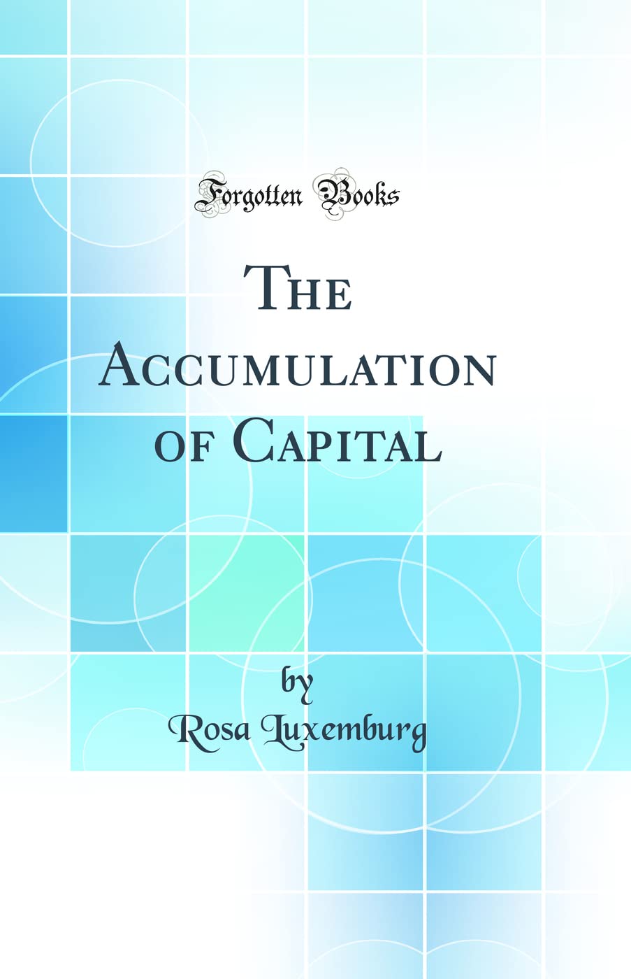 The Accumulation of Capital (Classic Reprint)