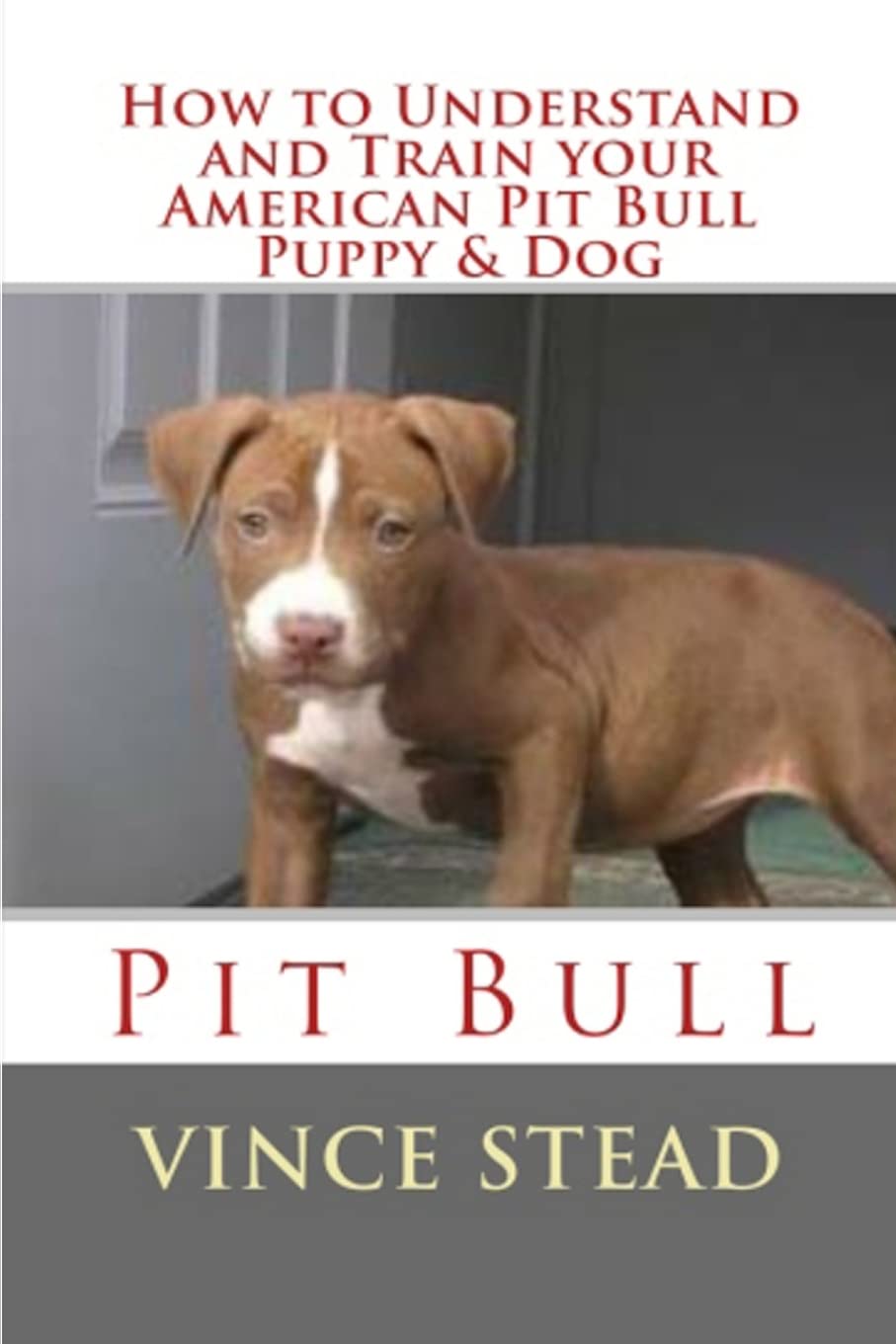 How To Understand And Train Your American Pit Bull Puppy & Dog