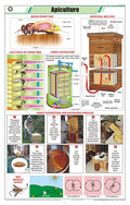 Stg31 | Teachingnest Apiculture Chart (58X90Cm) | English | General Science Charts [Wall Chart] Teachingnest