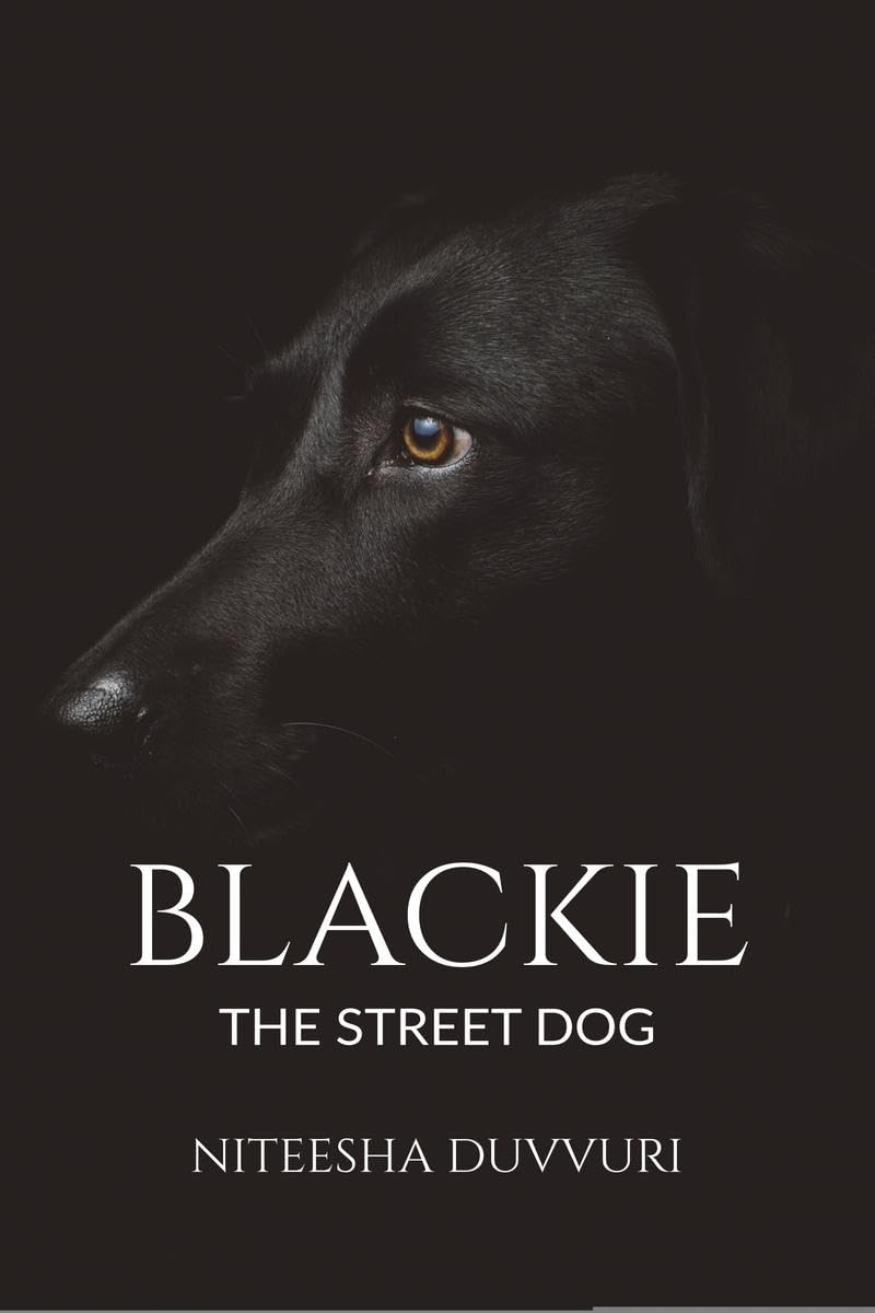 BlackieThe Street Dog