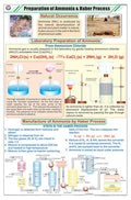 Stc37 | Teachingnest | Preparation Of Ammonia And Haber Process Chart (58X90 Cm) | English | Chemistry Charts | With Rollers [Wa