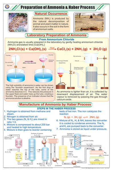 Stc37 | Teachingnest | Preparation Of Ammonia And Haber Process Chart (58X90 Cm) | English | Chemistry Charts | With Rollers [Wa
