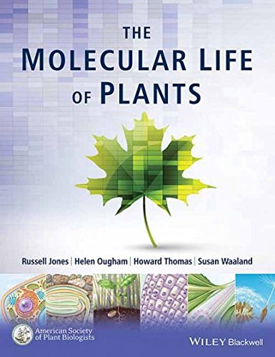 MOLECULAR LIFE OF PLANTS