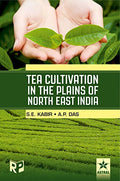 Tea Cultivation In The Plains Of North East India