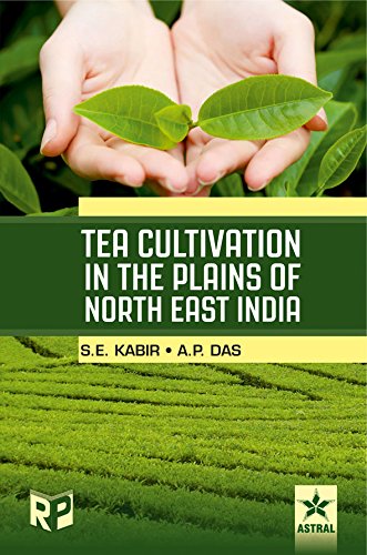 Tea Cultivation In The Plains Of North East India