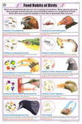 Stz26 | Teachingnest | Food Habits Of Birds Chart (58X90Cm) | Zoology Chart | English | Wall Hanging [Wall Chart] Zoology Charts