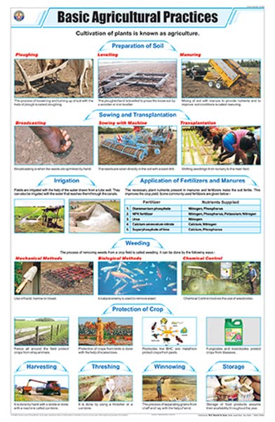 Stg09 | Teachingnest Basic Agricultural Practices Chart (58X90Cm) | English | General Science Charts [Wall Chart] Teachingnest
