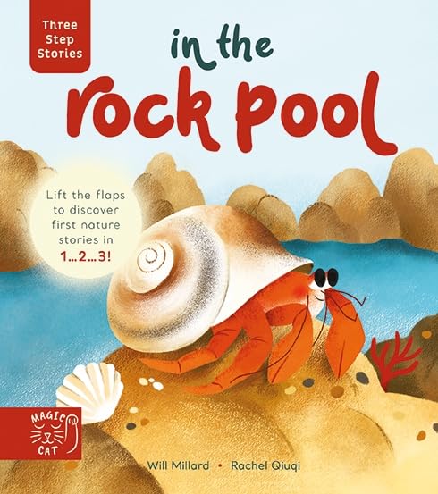 Three Step Stories: In the Rock Pool: Lift the Flaps to Discover First Nature Stories in 1 2 3!
