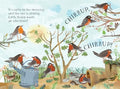 Little Robins Book of Birds (The Big Book Series, 16)