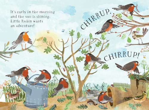 Little Robins Book of Birds (The Big Book Series, 16)