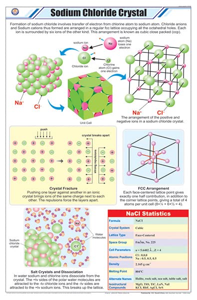 Stc44 | Teachingnest | Sodium Chloride Crystal Chart (58X90 Cm) | English | Chemistry Charts | With Rollers [Wall Chart] Teachin