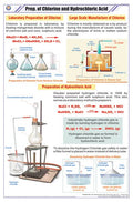 Stc35 | Teachingnest | Preparation Of Chlorine And Hydrochloric Acid Chart (58X90 Cm) | English | Chemistry Charts | With Roller