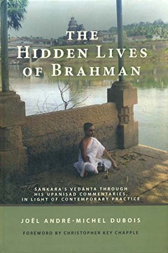 The Hidden Lives Of Brahman: SankaraS Vedanta Through His Upanisad Commentaries, In Light Of Contemporary Practice