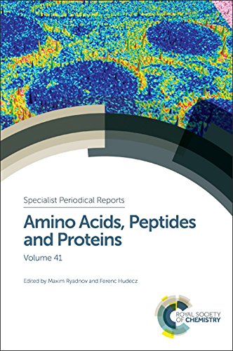 AMINO ACIDS, PEPTIDES AND PROTEINS: Volume 41 (Specialist Periodical Reports  Amino Acids, Peptides and Proteins)