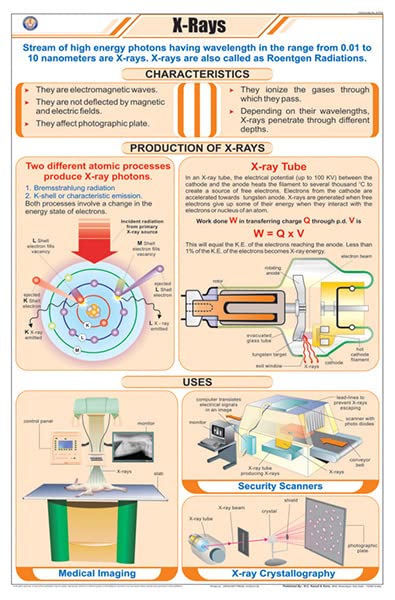 Stp42 | Teachingnest X  Rays Chart (58X90Cm) | English | Physics Charts [Wall Chart] Charts On Physics And Teachingnest