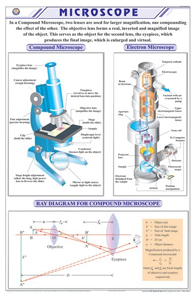 Stp16 | Teachingnest Microscope Chart (58X90Cm) | English | Physics Charts [Wall Chart]