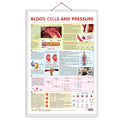 BLOOD CELLS AND PRESSURE CHART | Unraveling Blood Cells and Pressure: Comprehensive Anatomy Chart