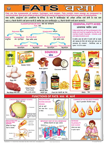 Fn03 | Teachingnest | Fats Chart (70X100Cm) | Food And Nutrition Chart | Wall Sticking | English  Hindi Combined [Wall Chart]