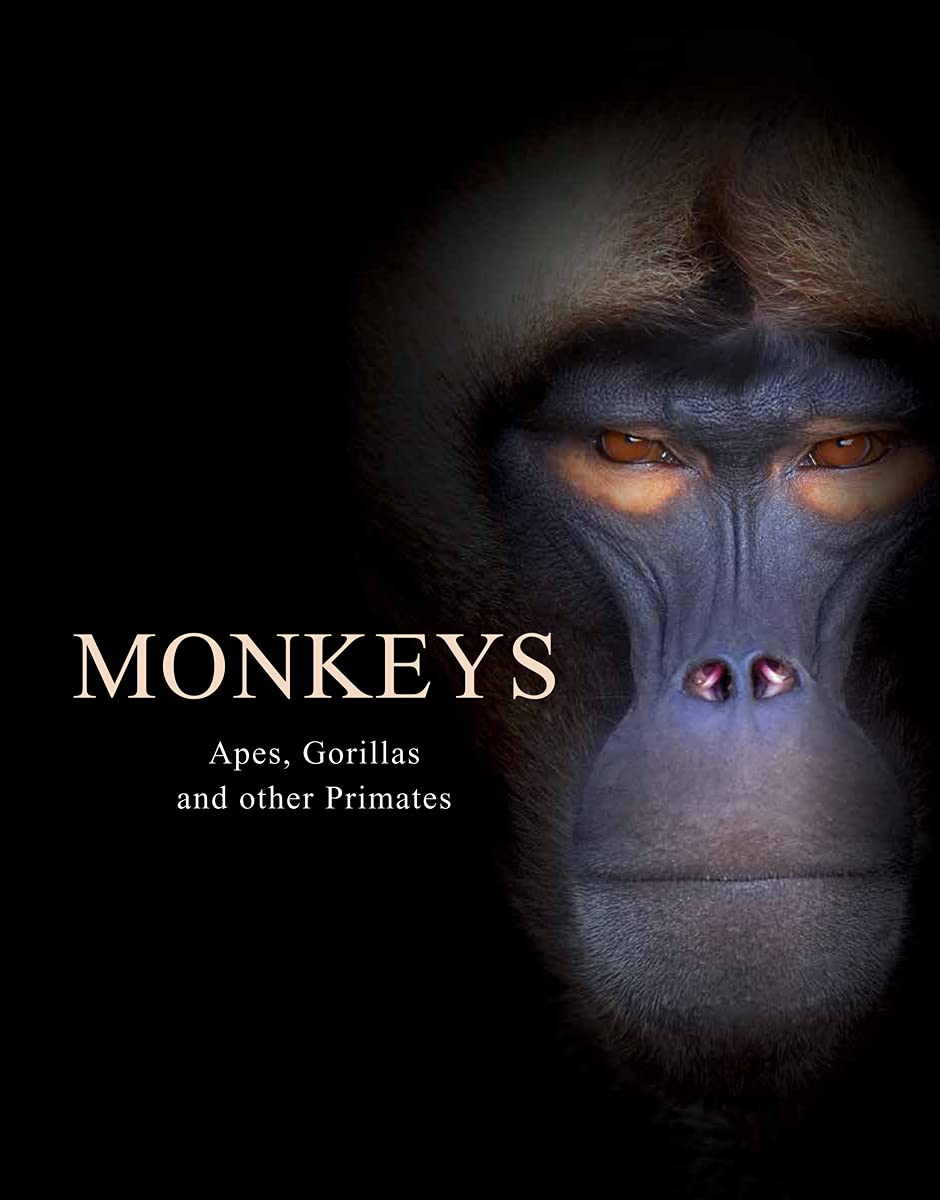 Monkeys: Apes, Gorillas and other Primates (Animals in Photographs)