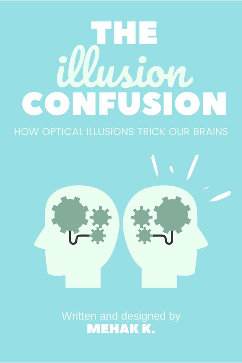 The Illusion Confusion : How Optical Illusions Trick Our Brains