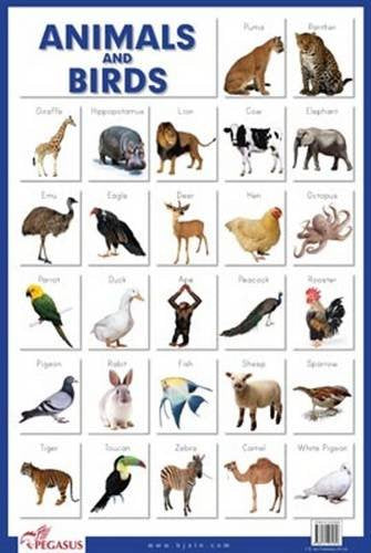 Animals & Birds  Thick Laminated Educational Chart