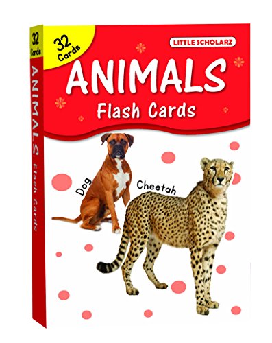 Big Flash Cards  ANIMALS