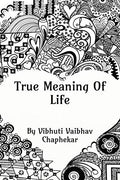True Meaning Of Life