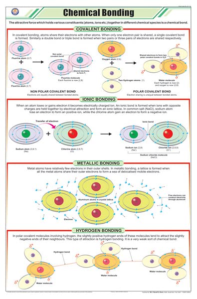 Stc06 | Teachingnest | Chemical Bonding Chart (58X90 Cm) | English | Chemistry Charts | With Rollers [Wall Chart] Teachingnest A