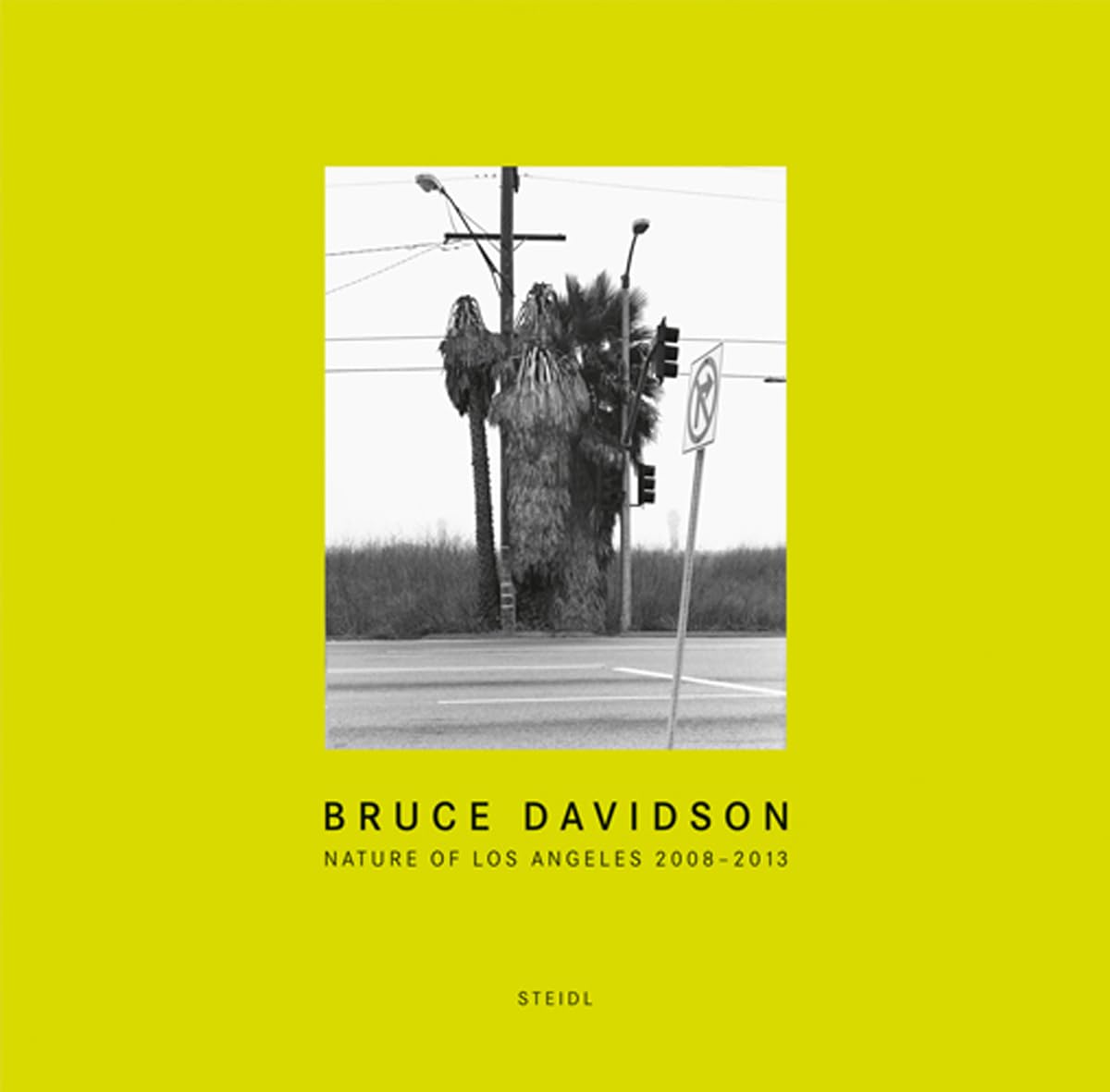 Bruce Davidson: Nature of Los Angeles 20082013