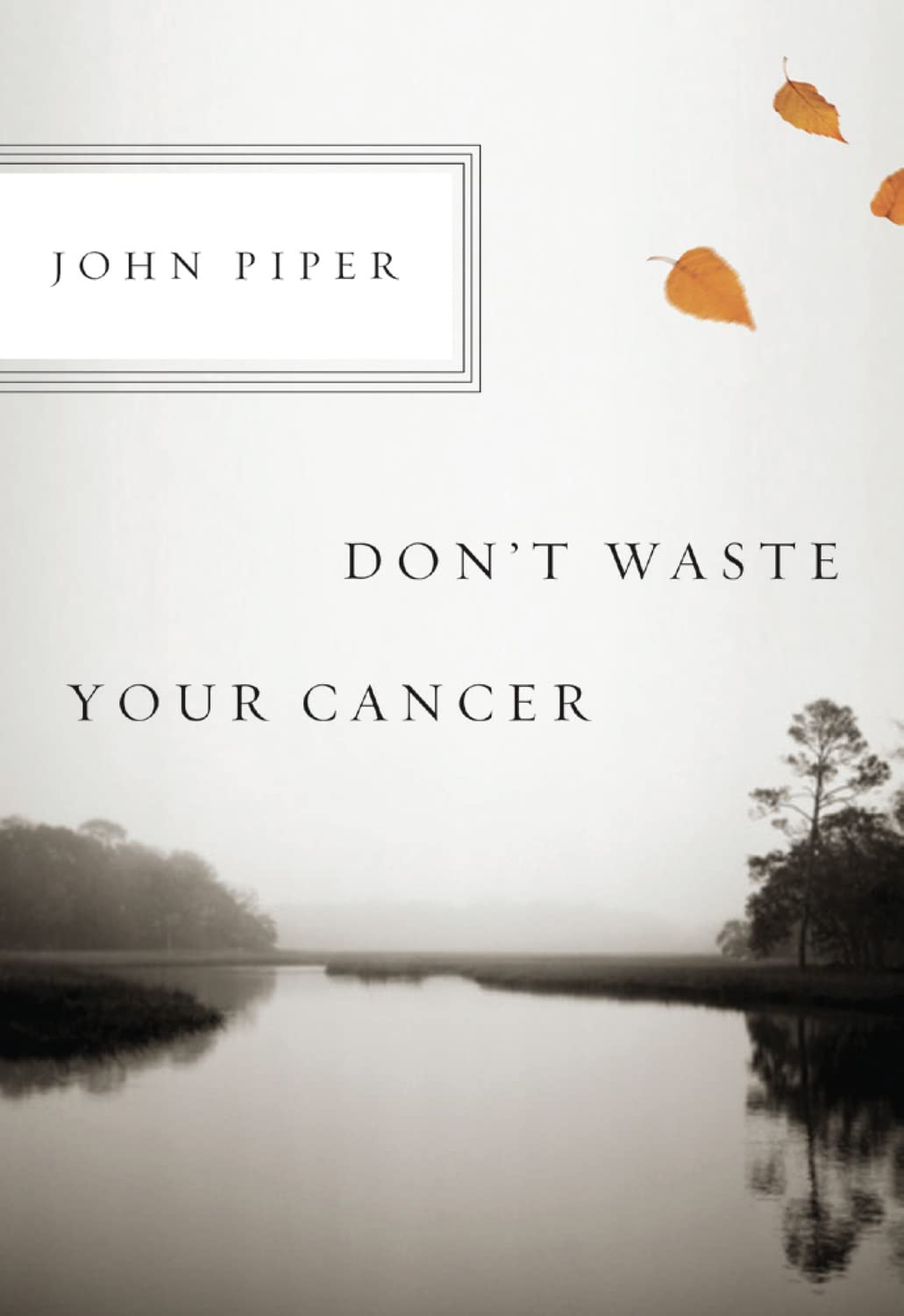 Dont Waste Your Cancer