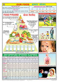 Fn01 | Teachingnest | Our Food Chart (70X100Cm) | Food And Nutrition Chart | Wall Sticking | English  Hindi Combined [Wall Char