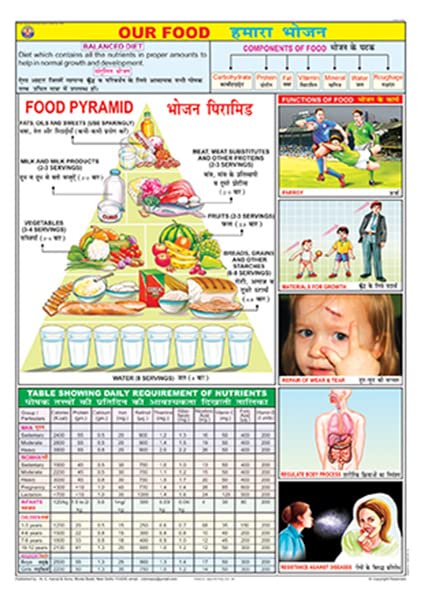 Fn01 | Teachingnest | Our Food Chart (70X100Cm) | Food And Nutrition Chart | Wall Sticking | English  Hindi Combined [Wall Char