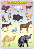 Tcc01A | Teachingnest Domestic Animals Chart | Laminated 33X48 Cm (13X19 Inch) | Wall Sticking [Wall Chart] Teachingnest [Wall C